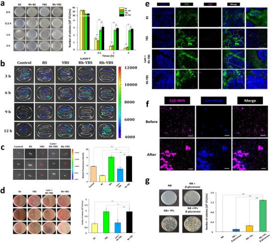 https://cdn.ncbi.nlm.nih.gov/pmc/blobs/b229/12376669/8476c684d62e/ADVS-12-2409711-g001.jpg