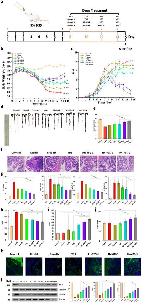 https://cdn.ncbi.nlm.nih.gov/pmc/blobs/b229/12376669/aef5a67f5c2f/ADVS-12-2409711-g002.jpg