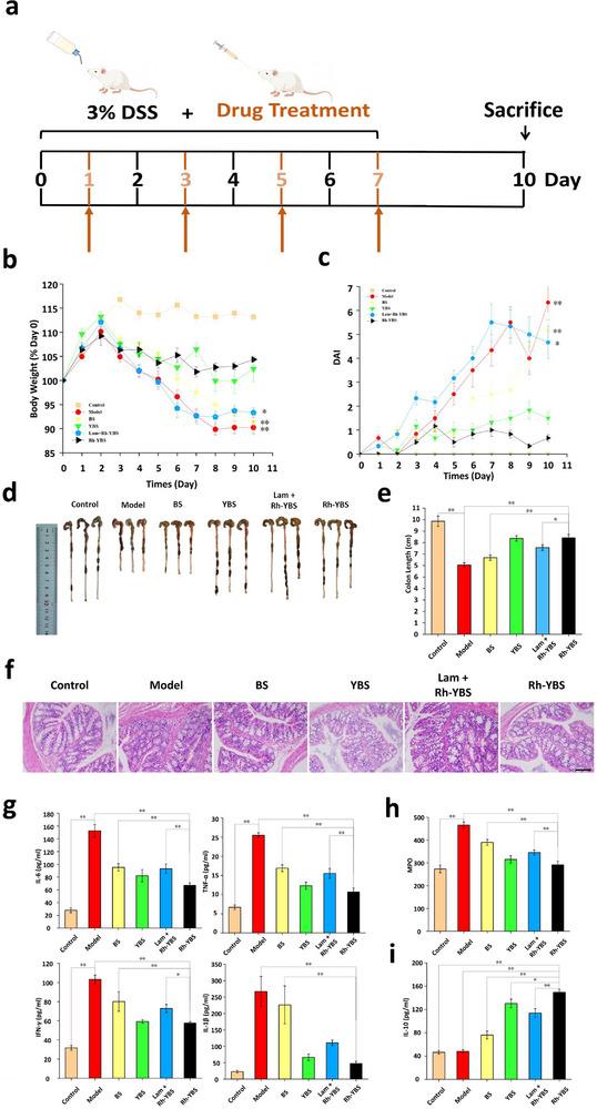 https://cdn.ncbi.nlm.nih.gov/pmc/blobs/b229/12376669/f1e65c249788/ADVS-12-2409711-g003.jpg