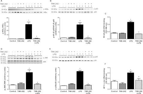 https://cdn.ncbi.nlm.nih.gov/pmc/blobs/b22c/3522475/2e85c39ad0bb/bsr2012-0098i001.jpg