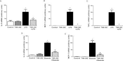 https://cdn.ncbi.nlm.nih.gov/pmc/blobs/b22c/3522475/63e9b926167d/bsr2012-0098i003.jpg