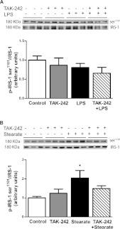 https://cdn.ncbi.nlm.nih.gov/pmc/blobs/b22c/3522475/b00d2d5edc2f/bsr2012-0098i004.jpg