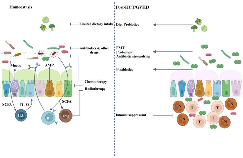 https://cdn.ncbi.nlm.nih.gov/pmc/blobs/b22e/11699782/43e820d13305/10020_2024_1060_Fig5_HTML.jpg