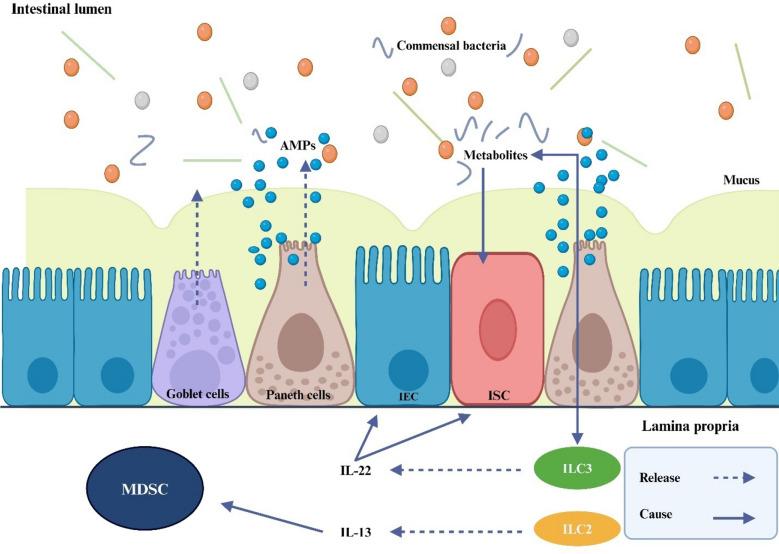 https://cdn.ncbi.nlm.nih.gov/pmc/blobs/b22e/11699782/831c177dce5b/10020_2024_1060_Fig1_HTML.jpg