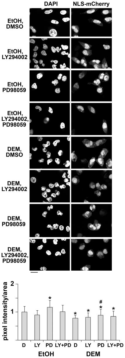 https://cdn.ncbi.nlm.nih.gov/pmc/blobs/b22f/2793512/3f9993d9875a/pone.0008420.g001.jpg