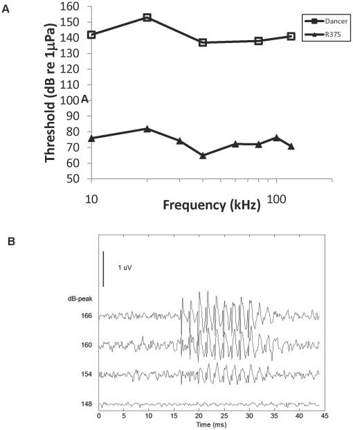 https://cdn.ncbi.nlm.nih.gov/pmc/blobs/b22f/2972210/43d844d2fbdf/pone.0013824.g002.jpg