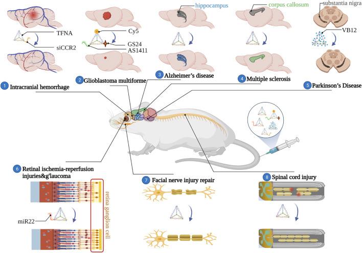 https://cdn.ncbi.nlm.nih.gov/pmc/blobs/b22f/8662522/43621a7cb398/fbioe-09-782237-g004.jpg