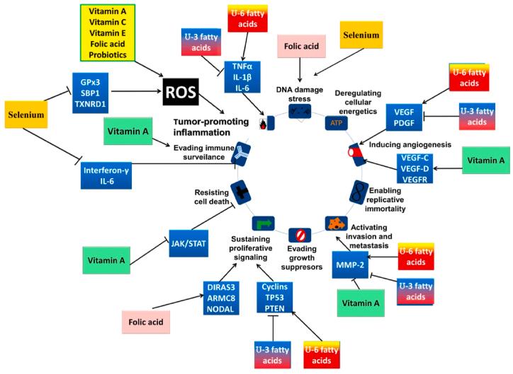 https://cdn.ncbi.nlm.nih.gov/pmc/blobs/b230/11564030/bc69b6ac7c2d/gr2.jpg