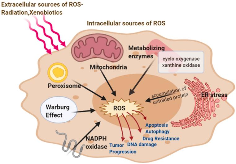 https://cdn.ncbi.nlm.nih.gov/pmc/blobs/b230/11564030/c5f1f57d6c31/gr1.jpg