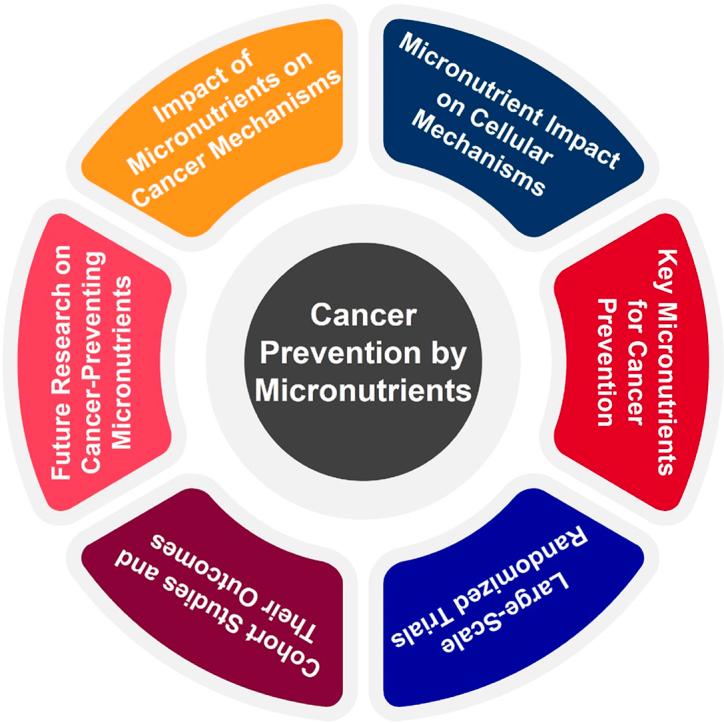 https://cdn.ncbi.nlm.nih.gov/pmc/blobs/b230/11564030/ec0a03afb28e/ga1.jpg