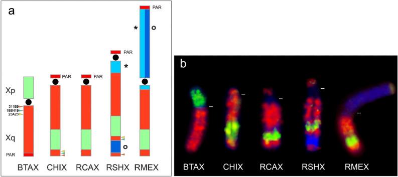 https://cdn.ncbi.nlm.nih.gov/pmc/blobs/b235/7862234/f670597bef88/41598_2021_82859_Fig4_HTML.jpg
