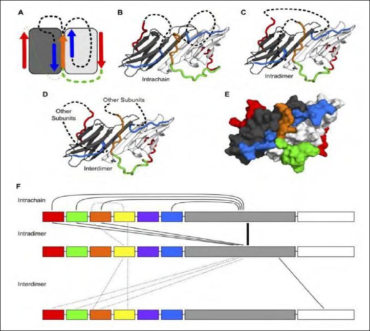 https://cdn.ncbi.nlm.nih.gov/pmc/blobs/b236/9237749/eadcf6e34b56/am-2022-02-59-g012.jpg
