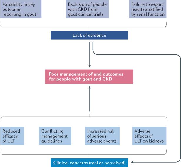 https://cdn.ncbi.nlm.nih.gov/pmc/blobs/b237/8458096/d35b1654459c/41584_2021_657_Fig2_HTML.jpg