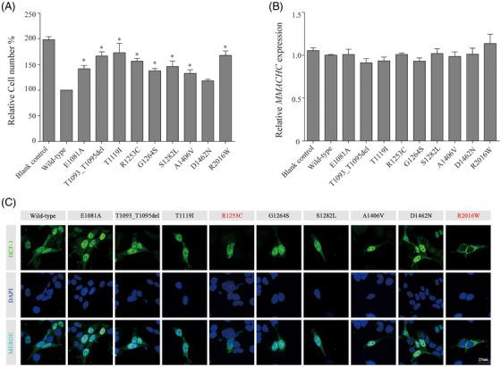 https://cdn.ncbi.nlm.nih.gov/pmc/blobs/b23c/10235798/9fd77278b261/CTM2-13-e1289-g004.jpg