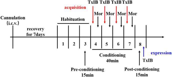 https://cdn.ncbi.nlm.nih.gov/pmc/blobs/b23d/8681874/4dfa56d2c940/fphar-12-772990-g001.jpg