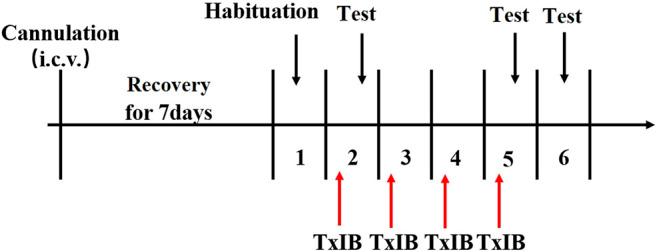 https://cdn.ncbi.nlm.nih.gov/pmc/blobs/b23d/8681874/8b8aab7e908f/fphar-12-772990-g003.jpg