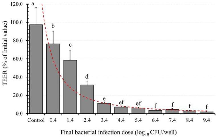 https://cdn.ncbi.nlm.nih.gov/pmc/blobs/b23e/10745617/f62393327a8c/microorganisms-11-02942-g006.jpg