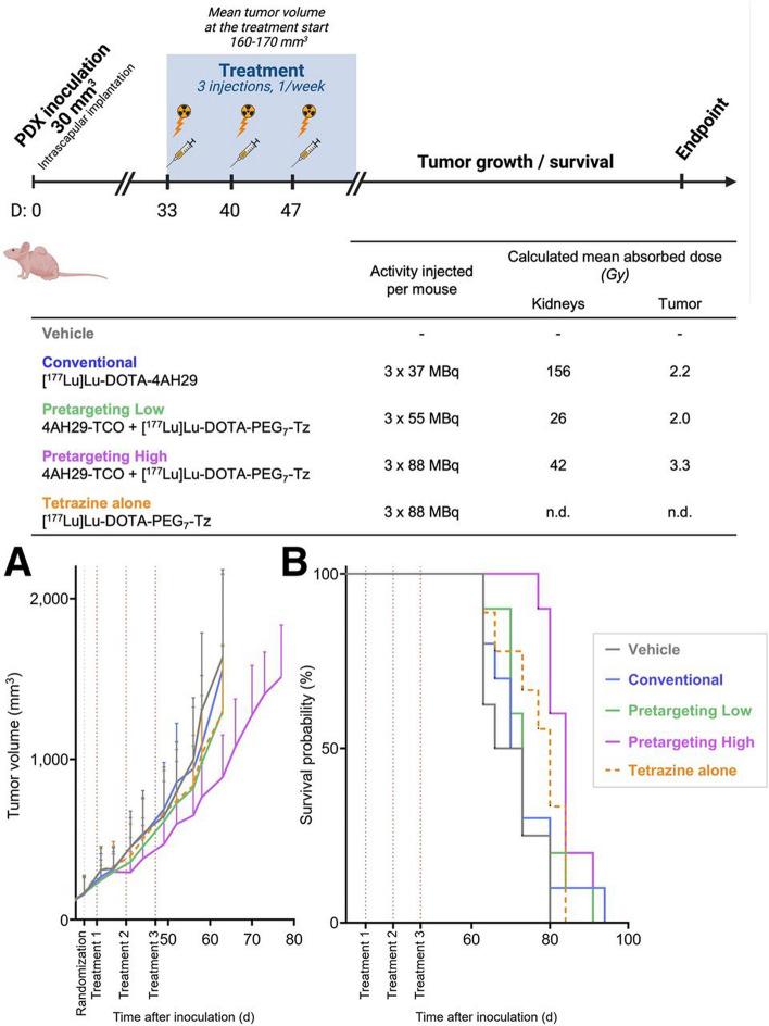 https://cdn.ncbi.nlm.nih.gov/pmc/blobs/b23f/12182545/0d508909ac1c/41181_2025_356_Fig7_HTML.jpg