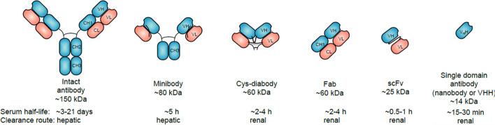 https://cdn.ncbi.nlm.nih.gov/pmc/blobs/b23f/12182545/3537ae83e1e9/41181_2025_356_Fig2_HTML.jpg