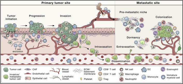 https://cdn.ncbi.nlm.nih.gov/pmc/blobs/b23f/12182545/6591df8c7784/41181_2025_356_Fig1_HTML.jpg