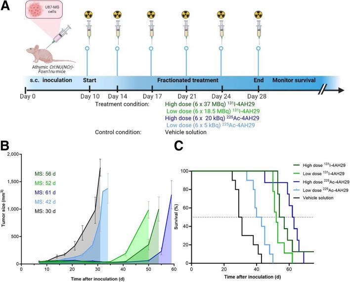https://cdn.ncbi.nlm.nih.gov/pmc/blobs/b23f/12182545/7290ef06d9bb/41181_2025_356_Fig6_HTML.jpg