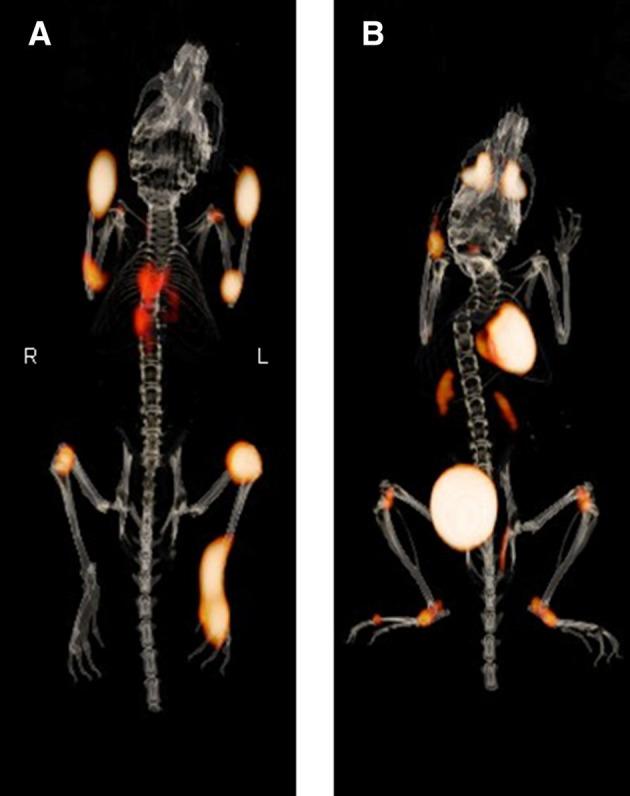 https://cdn.ncbi.nlm.nih.gov/pmc/blobs/b23f/12182545/fd8c6da68eab/41181_2025_356_Fig4_HTML.jpg