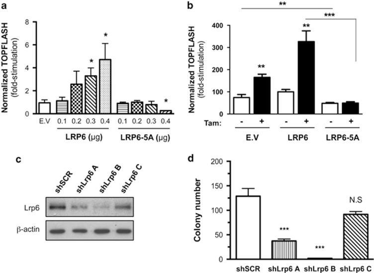 https://cdn.ncbi.nlm.nih.gov/pmc/blobs/b240/4687460/15f4641457ca/onc2014416f7.jpg