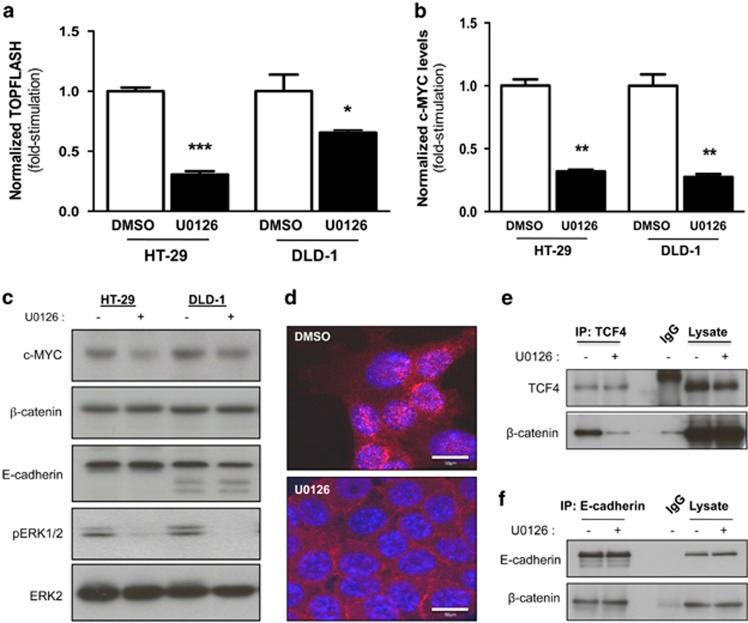 https://cdn.ncbi.nlm.nih.gov/pmc/blobs/b240/4687460/29ed659196de/onc2014416f5.jpg