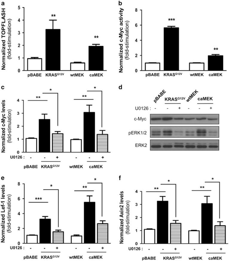 https://cdn.ncbi.nlm.nih.gov/pmc/blobs/b240/4687460/690980af1f83/onc2014416f2.jpg
