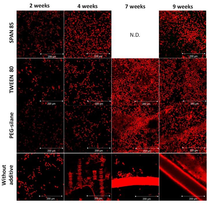 https://cdn.ncbi.nlm.nih.gov/pmc/blobs/b240/6358926/99e0060b4195/ijms-20-00361-g005.jpg