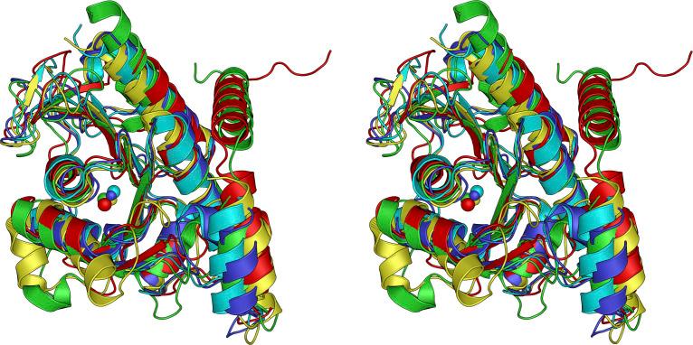 https://cdn.ncbi.nlm.nih.gov/pmc/blobs/b243/11841055/f485614f61b1/jb.00342-24.f006.jpg