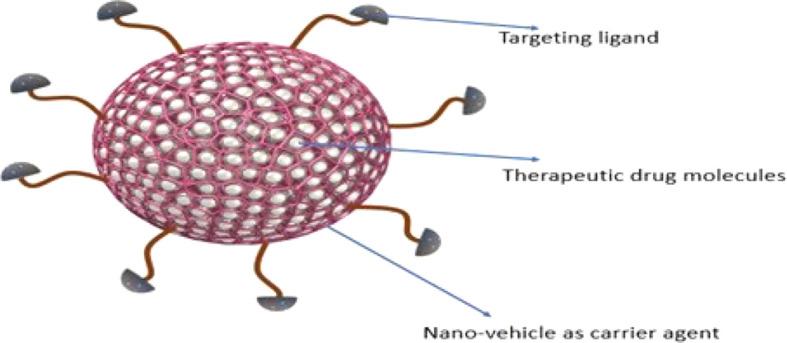 https://cdn.ncbi.nlm.nih.gov/pmc/blobs/b245/7817854/29e48f6ff3ba/fonc-10-607607-g004.jpg