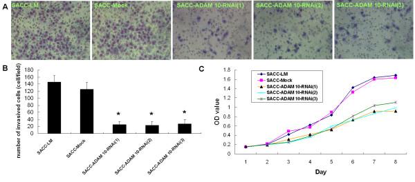 https://cdn.ncbi.nlm.nih.gov/pmc/blobs/b246/3017514/94ab78b13407/1479-5876-8-136-5.jpg