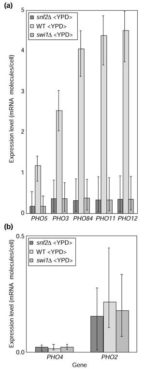https://cdn.ncbi.nlm.nih.gov/pmc/blobs/b247/151173/d15721ed0ff0/gb-2002-3-12-research0071-8.jpg