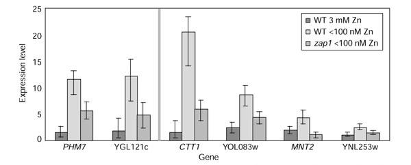 https://cdn.ncbi.nlm.nih.gov/pmc/blobs/b247/151173/e04cf598bbe2/gb-2002-3-12-research0071-9.jpg