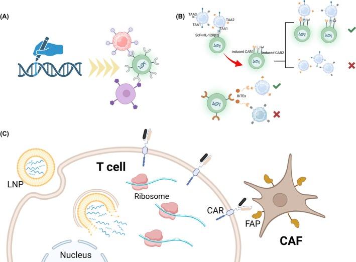 https://cdn.ncbi.nlm.nih.gov/pmc/blobs/b249/11531970/66d853da5cd0/CAS-115-3532-g001.jpg