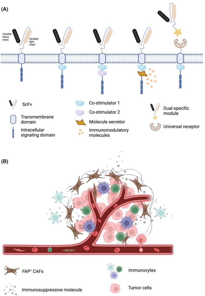 https://cdn.ncbi.nlm.nih.gov/pmc/blobs/b249/11531970/957418b34e41/CAS-115-3532-g003.jpg