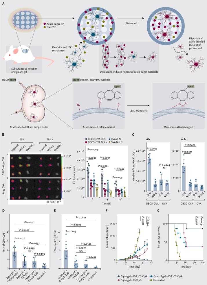 https://cdn.ncbi.nlm.nih.gov/pmc/blobs/b24a/10504489/9dd1e8ca0496/gr4.jpg