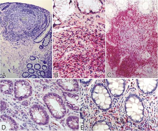 https://cdn.ncbi.nlm.nih.gov/pmc/blobs/b24a/2211967/2c56ee5671d6/20041196f3ae.jpg