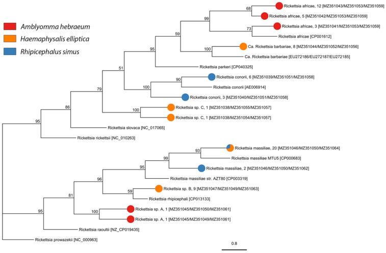 https://cdn.ncbi.nlm.nih.gov/pmc/blobs/b24b/8401679/145ef9965a66/pathogens-10-01043-g003.jpg