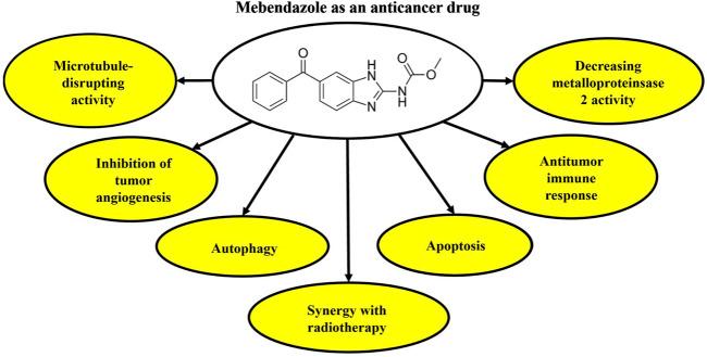 https://cdn.ncbi.nlm.nih.gov/pmc/blobs/b24e/12331676/719294f3cf39/fphar-16-1631419-g001.jpg