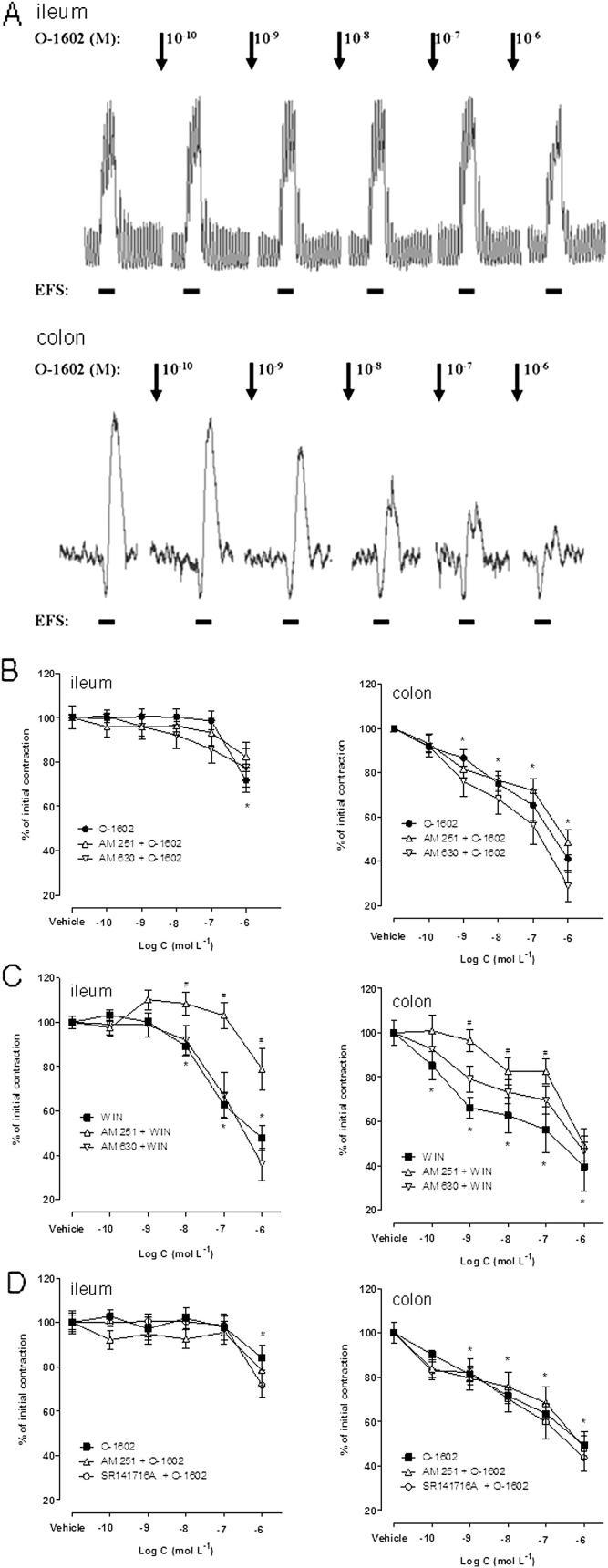 https://cdn.ncbi.nlm.nih.gov/pmc/blobs/b24e/3677091/dcc6e4d8b55a/gr2.jpg