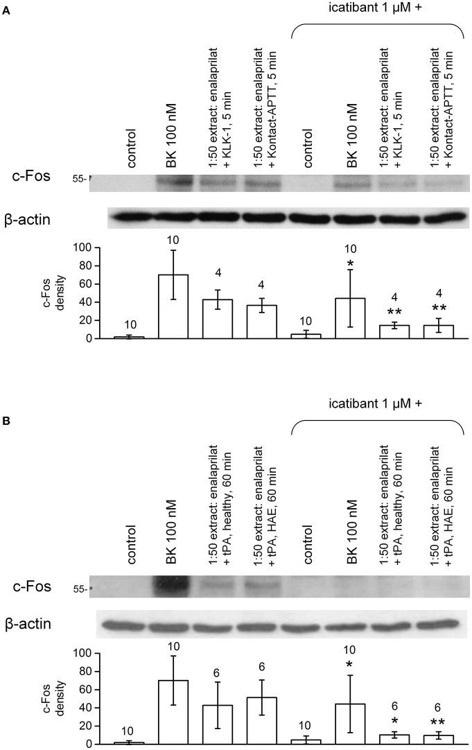https://cdn.ncbi.nlm.nih.gov/pmc/blobs/b250/6176197/1d0b00b0cb8c/fimmu-09-02183-g0010.jpg