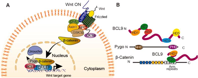 https://cdn.ncbi.nlm.nih.gov/pmc/blobs/b251/10491870/3fb5c4a0aede/gr1.jpg