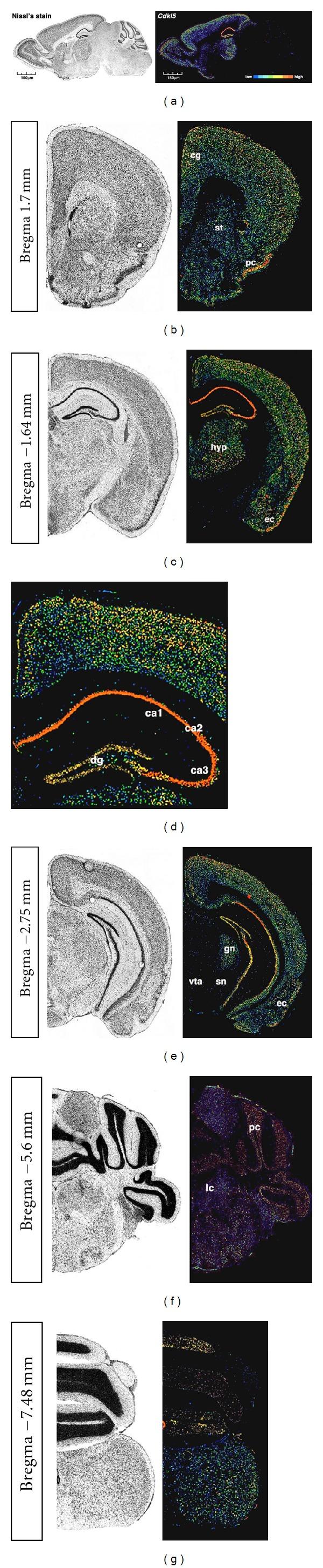 https://cdn.ncbi.nlm.nih.gov/pmc/blobs/b251/3385648/662bca3959b3/NP2012-728267.003.jpg