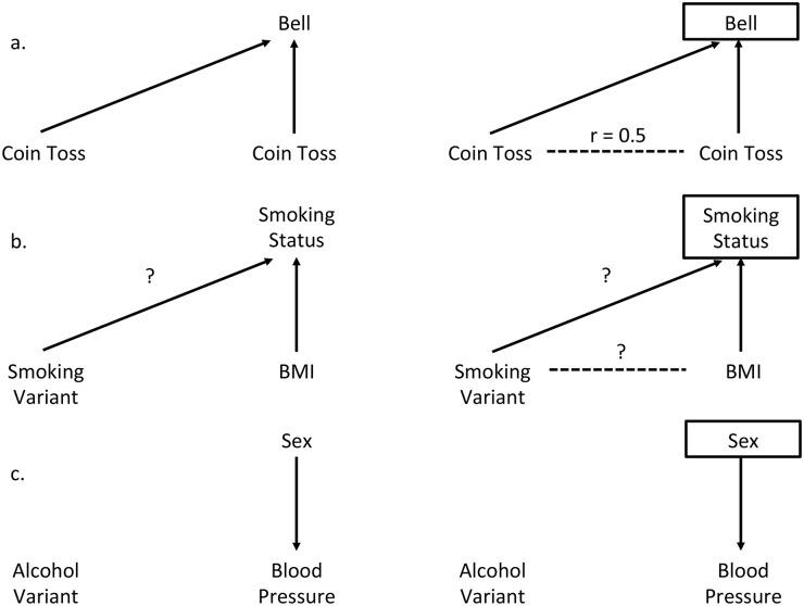 https://cdn.ncbi.nlm.nih.gov/pmc/blobs/b251/4750859/acab71fbf313/pgen.1005765.g002.jpg