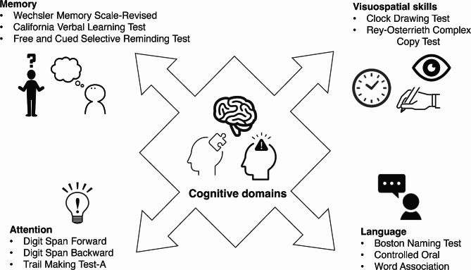 https://cdn.ncbi.nlm.nih.gov/pmc/blobs/b255/11907832/62a0e85dd819/12903_2025_5632_Fig1_HTML.jpg