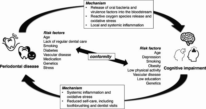 https://cdn.ncbi.nlm.nih.gov/pmc/blobs/b255/11907832/df5c78dca761/12903_2025_5632_Fig2_HTML.jpg