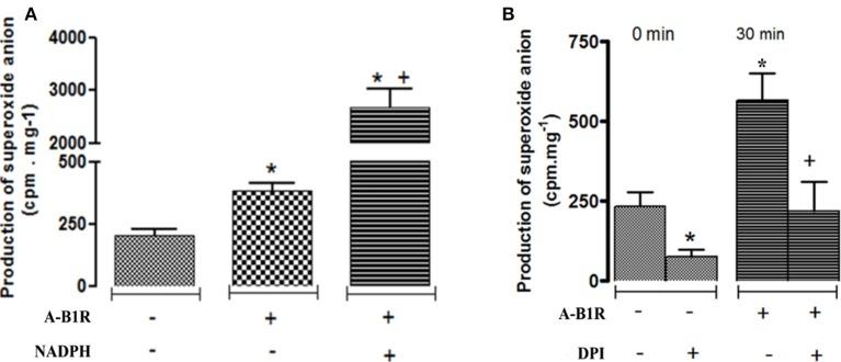 https://cdn.ncbi.nlm.nih.gov/pmc/blobs/b255/5671568/7f0af3ca8cb2/fphys-08-00861-g0002.jpg