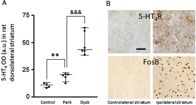 https://cdn.ncbi.nlm.nih.gov/pmc/blobs/b258/10977406/80027fd6bf0d/jpd-14-jpd230331-g001.jpg